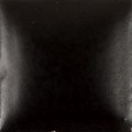 SN366 Black